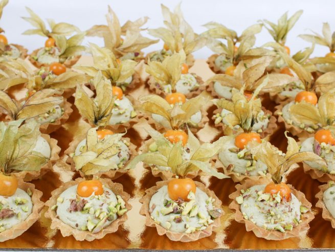 DoMORI Natural & Mini